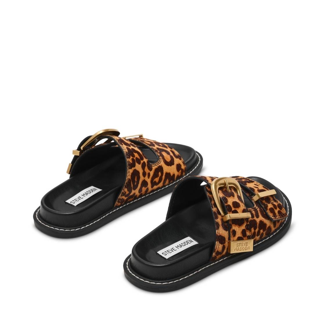 ARCH-L LEOPARD