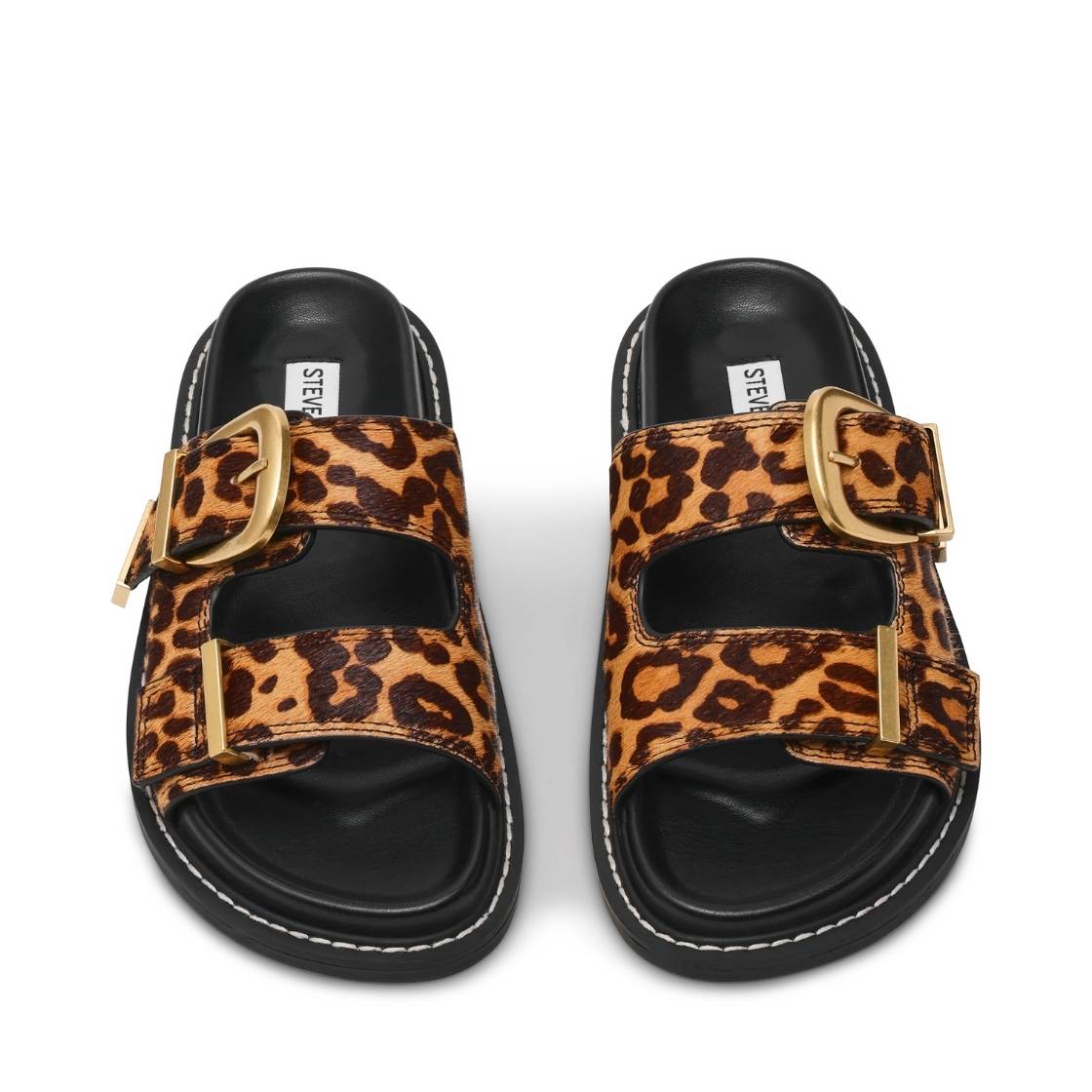 ARCH-L LEOPARD