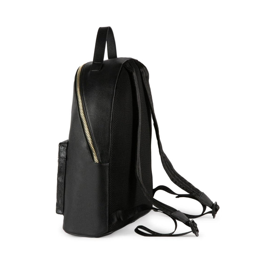 BBACK-6 BLACK/GOLD