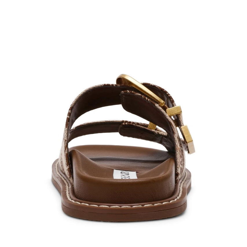 ARCH-SM BROWN