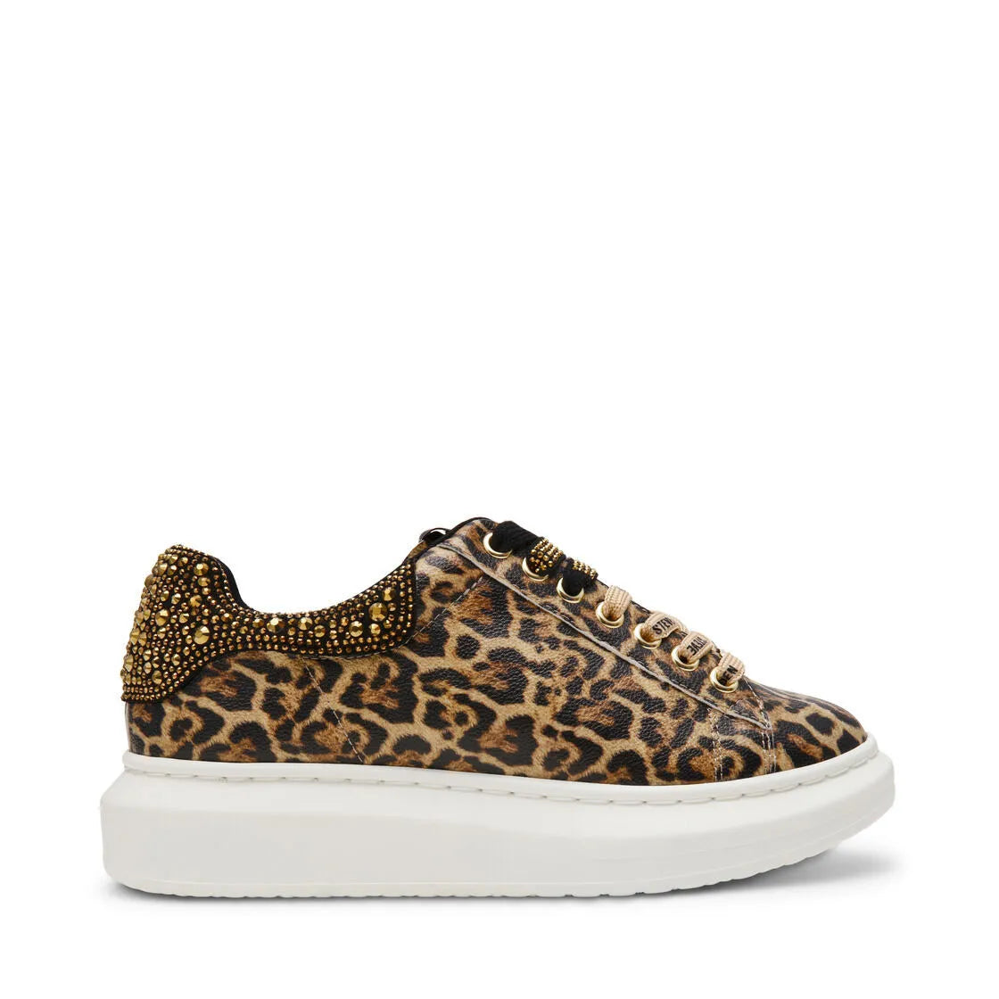 GAZE-2C LEOPARD