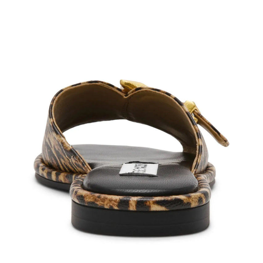 ABIGAYLE LEOPARD