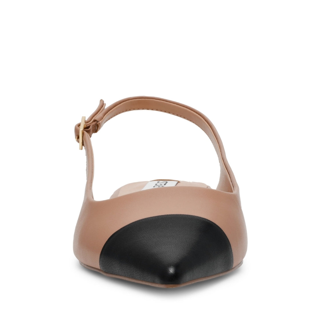 Rowyn Rowyn Blush/Black. Zapatos Destalonados – Steve Madden Mexico