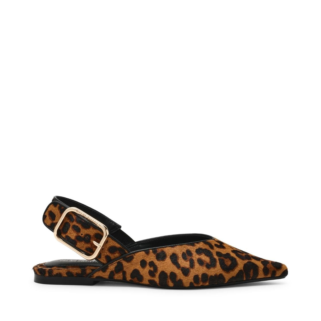 Sianna L Leopard